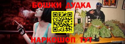 крисы Коммунар