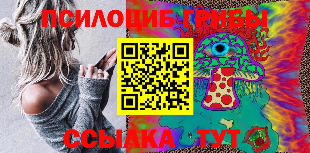 Псилоцибиновые грибы GOLDEN TEACHER Камышлов